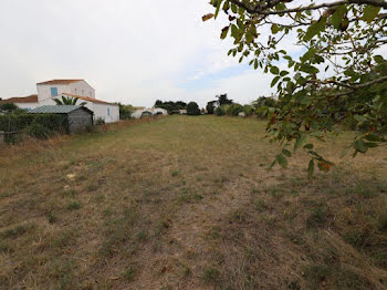 terrain à Saint-Georges-d'Oléron (17)