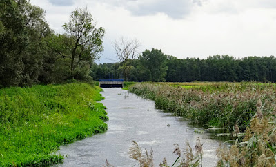 Zdjęcie: