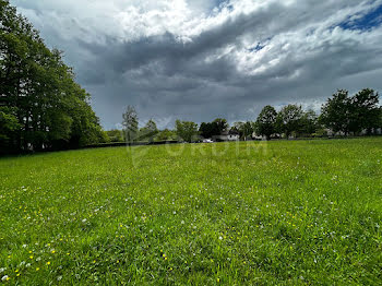 terrain à Moulins-sur-Ouanne (89)