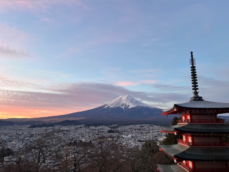 の投稿画像2枚目