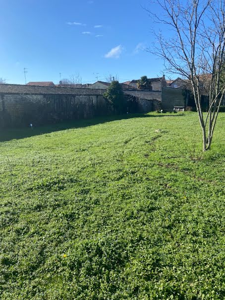 Vente terrain  1229 m² à Châteauneuf-sur-Charente (16120), 53 000 €