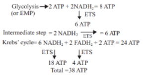 Solution Image