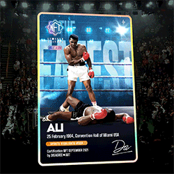 SPORTS HIGHLIGHTS #004 | ALI