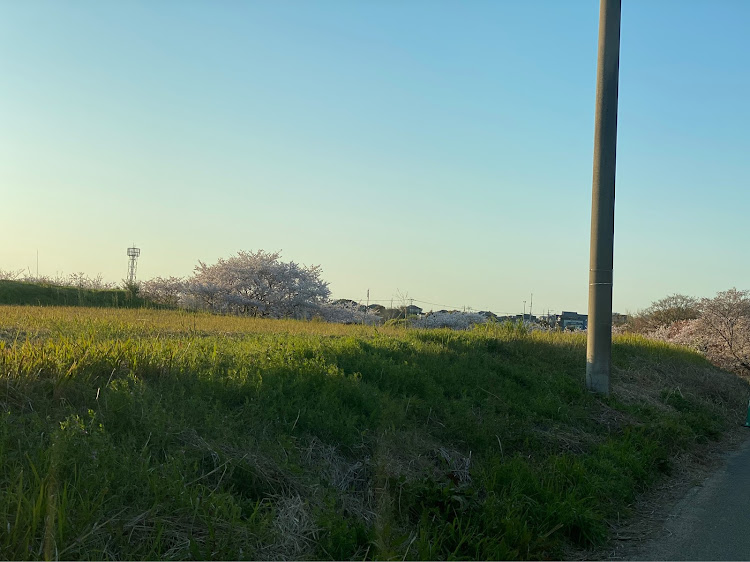 エブリイワゴンのちょいあげ・リフトアップ・桜とコラボ🌸・サクラと愛車・桜に関するカスタム事例の投稿画像2枚目