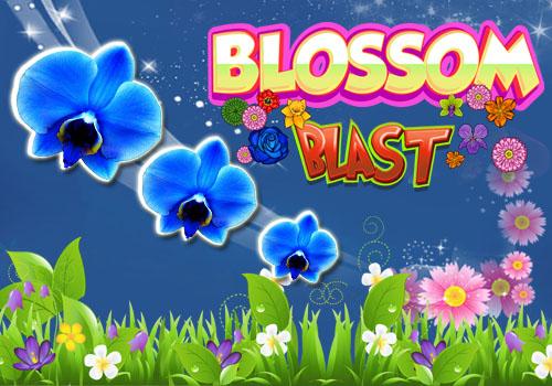 Blossom Pop Party