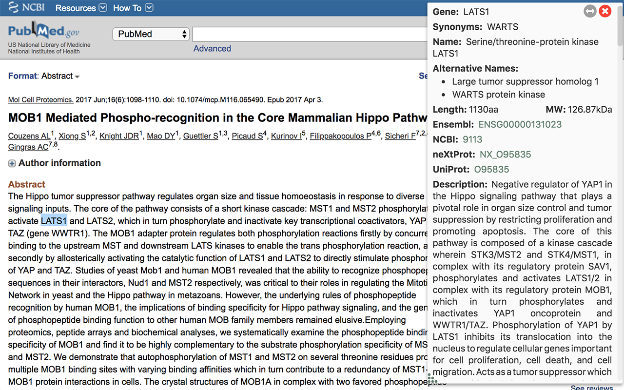 Gene Info Preview image 4