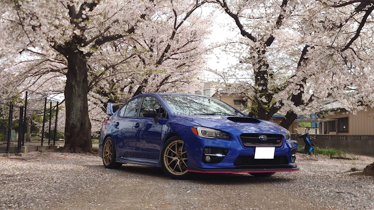 WRX STIのWRX・VAB・桜とコラボ・サクラと愛車に関するカスタム事例の投稿画像2枚目