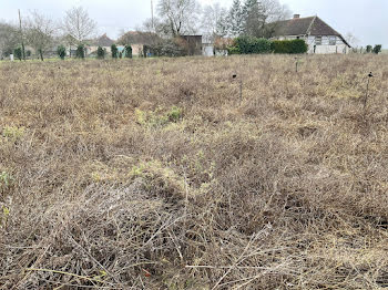 terrain à Villemereuil (10)