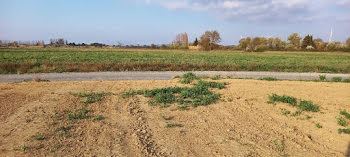 terrain à Canet (11)