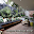backyard landscape design Download on Windows