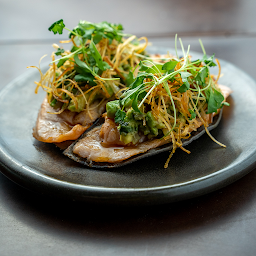 Salmon Tostada