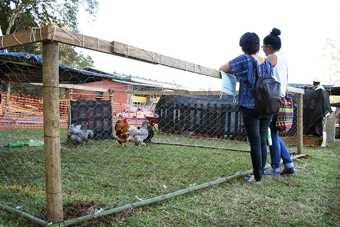 La granja, organizada en conjunto con la Asociación de Estudiantes de Ingeniería Ambiental, fue de gran atractivo para los amantes de los animales. Foto: Ruth Garita/OCM.