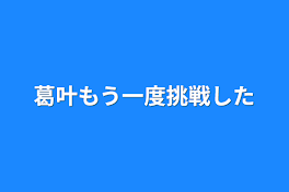 葛叶もう一度挑戦した