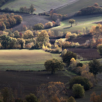 ….tavolozze di colori…. di 