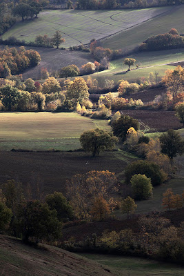 ….tavolozze di colori…. di stefanogaleotti