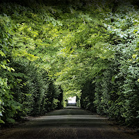 GreenTunnel di 