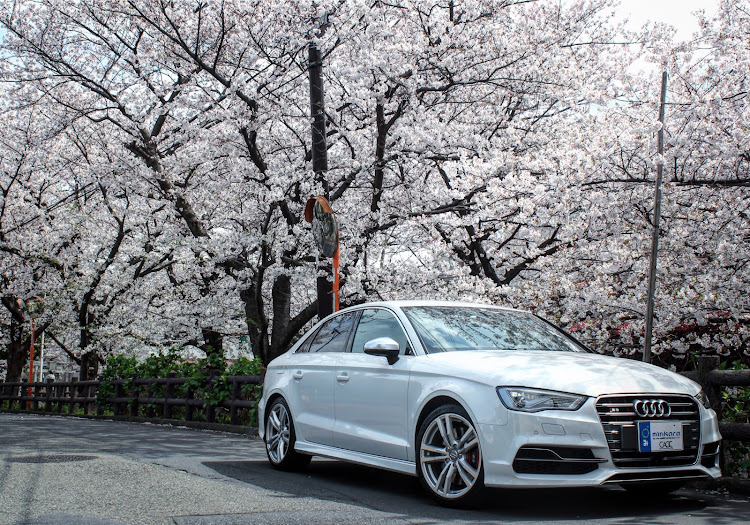 S3 セダンのAudi・アウディ・S3セダン・愛車撮影・桜とコラボに関するカスタム事例の投稿画像5枚目
