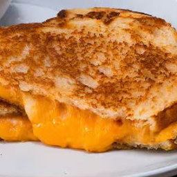 Kids Grilled Cheese Sandwich