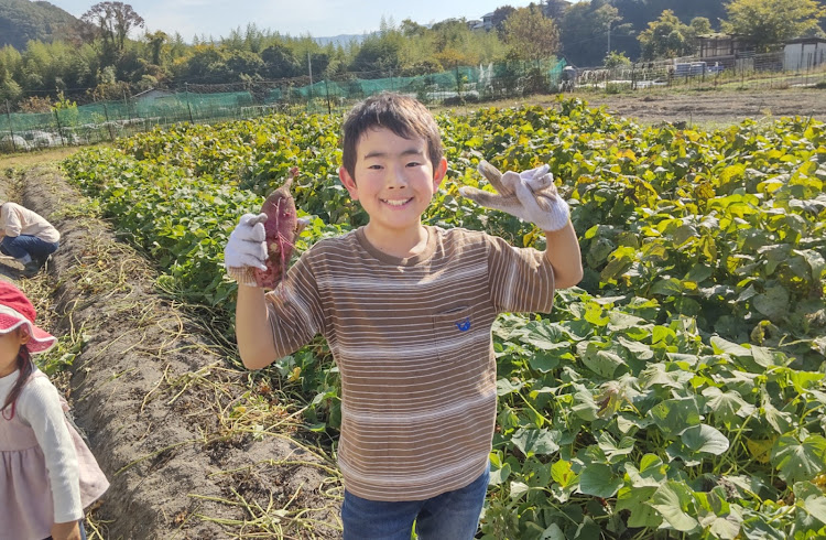 の投稿画像15枚目