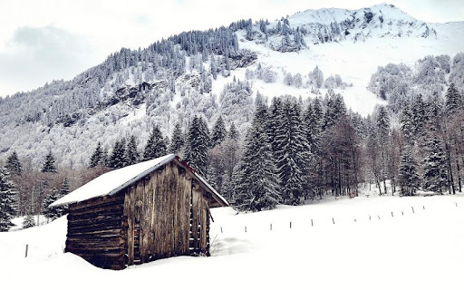 Cabin Wallpaper ?️