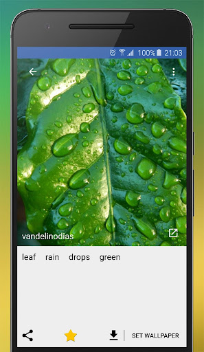 免費下載個人化APP|Nature Wallpapers (HD, QHD 4K) app開箱文|APP開箱王