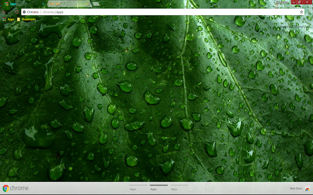 Plant Raindrops chrome extension