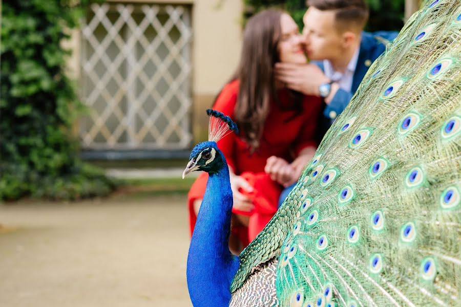 Wedding photographer Viktor Zdvizhkov (zdvizhkov). Photo of 7 June 2017