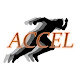 ACCEL Download on Windows