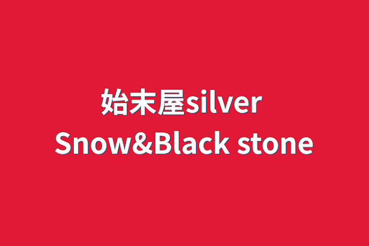 「始末屋silver Snow&Black stone」のメインビジュアル