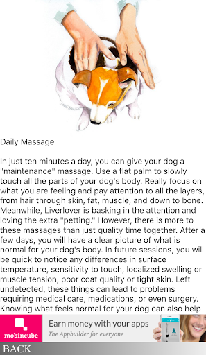 HOW TO MASSAGE YOUR DOG