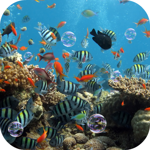 Fond Décran Animé Aquarium Applications Sur Google Play