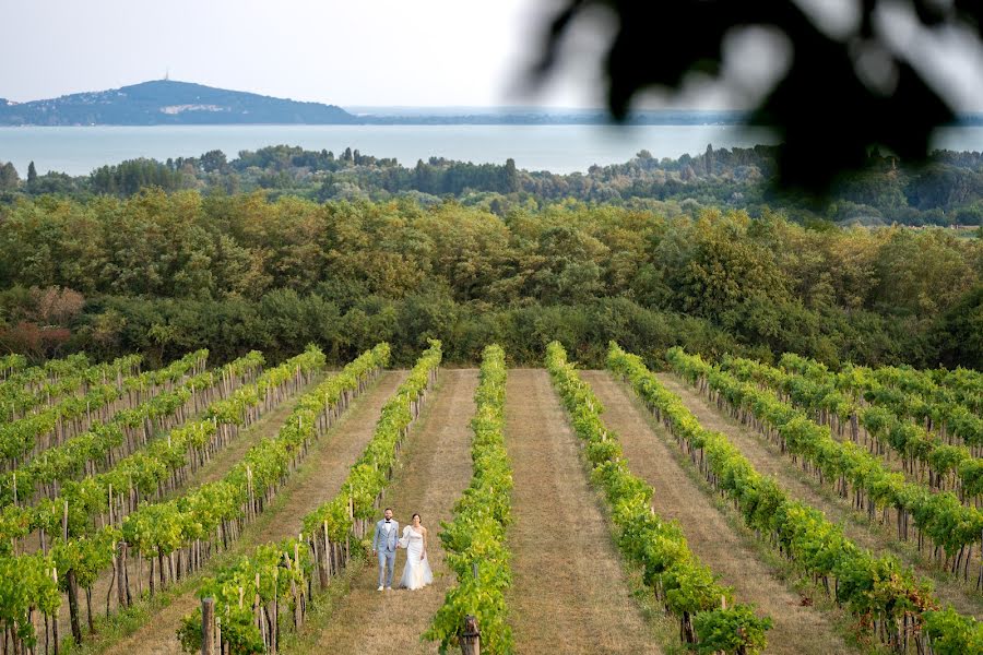 Fotógrafo de bodas Gyula Gyukli (gyukligyula). Foto del 25 de agosto 2022