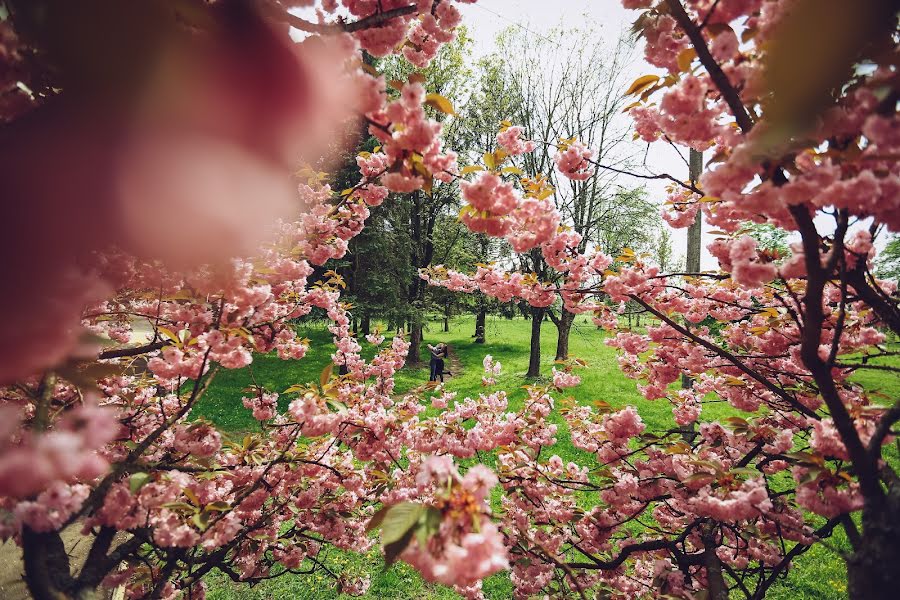 Hochzeitsfotograf Vladislav Ziynich (iphoto2016). Foto vom 17. April 2016