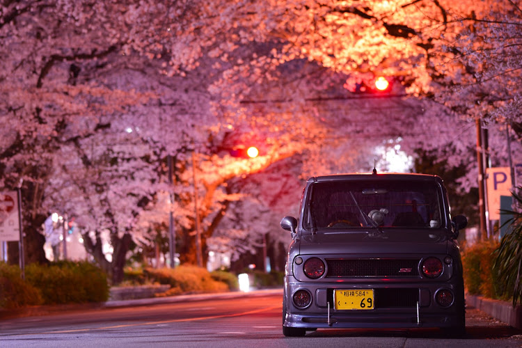 アルトラパンのサクラパン・さくラパン・さくらコラボ・さくらとコラボ・桜に関するカスタム事例の投稿画像1枚目