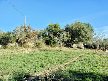 terrain à Lorgues (83)