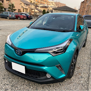 C-HR ZYX10