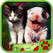 Cats And Dogs Games  Icon