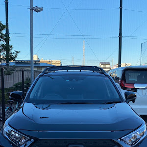 RAV4 MXAA54