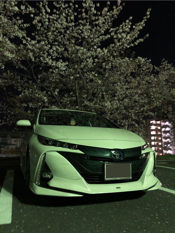 プリウスPHVのPRIUS PHV・プリウスPHV・桜と愛車・夜桜と愛車に関するカスタム事例の投稿画像1枚目
