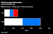 Already the biggest electric vehicle producer at home, it bets low prices and producing its own batteries and chips will make it a global leader.