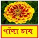 Download গাঁদা ফুল চাষ পদ্ধতি ~ Tagetes Flower Cultivation For PC Windows and Mac 1.0