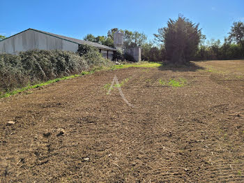 locaux professionnels à Essarts en Bocage (85)