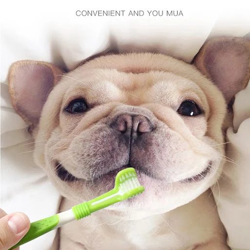 Pet Toothbrush Kit Dental Care Three Heads Dog Toothbrush Finger Toothbrush Teeth Care Dog Cat Cleaning Mouth Dog Toothb
