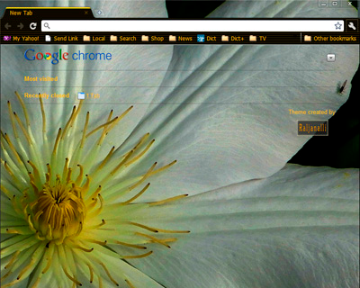 OpticAmber Clematis1920 Theme