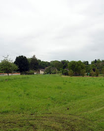 terrain à Villeneuve-l'Archevêque (89)