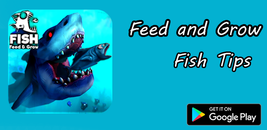 About: Tips Fish Feed & Grow Fish Free (Google Play version)