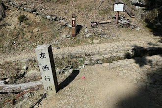 右に苔清水