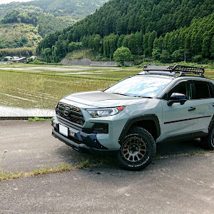 RAV4 MXAA54
