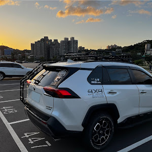 RAV4 AXAH54