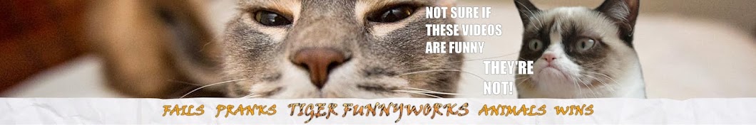 Tiger FunnyWorks Banner